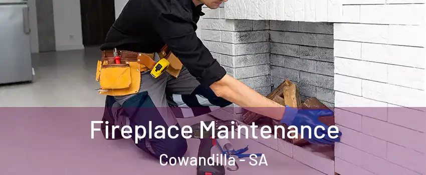 Fireplace Maintenance Cowandilla - SA