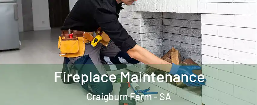 Fireplace Maintenance Craigburn Farm - SA