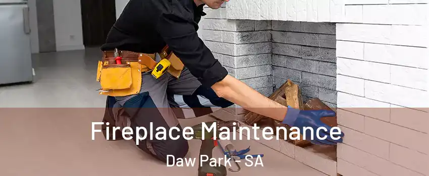 Fireplace Maintenance Daw Park - SA