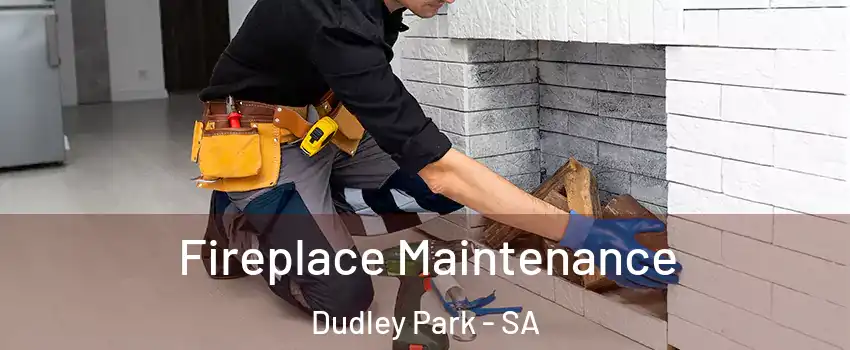 Fireplace Maintenance Dudley Park - SA