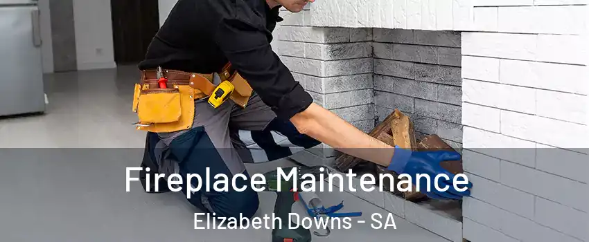 Fireplace Maintenance Elizabeth Downs - SA