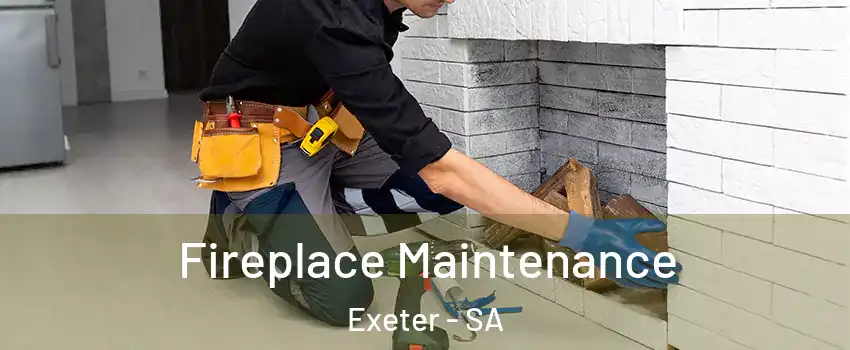 Fireplace Maintenance Exeter - SA