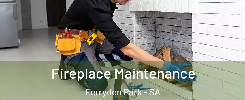 Fireplace Maintenance Ferryden Park - SA