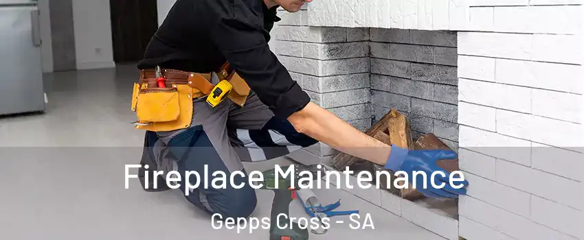 Fireplace Maintenance Gepps Cross - SA
