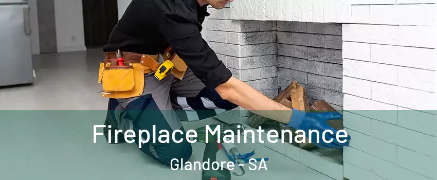 Fireplace Maintenance Glandore - SA