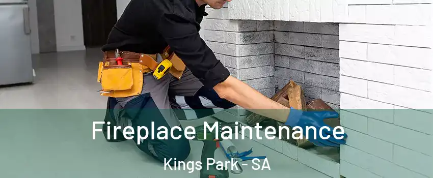  Fireplace Maintenance Kings Park - SA