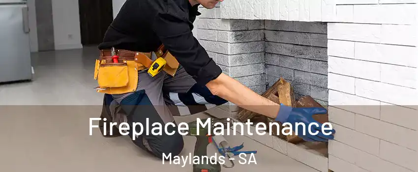  Fireplace Maintenance Maylands - SA