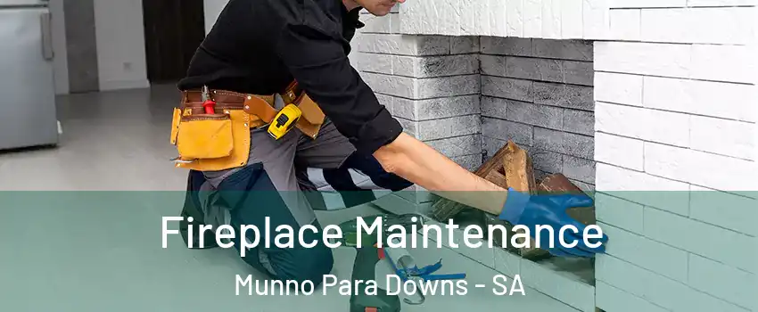  Fireplace Maintenance Munno Para Downs - SA