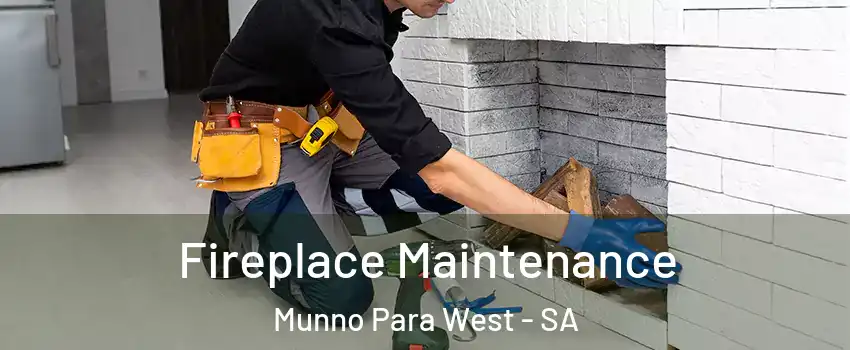  Fireplace Maintenance Munno Para West - SA