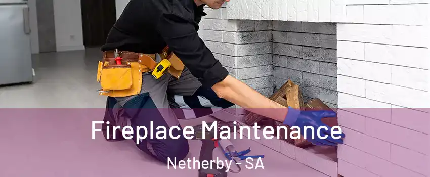 Fireplace Maintenance Netherby - SA