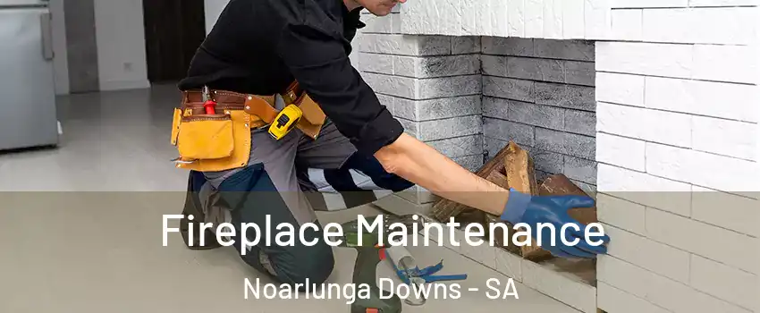 Fireplace Maintenance Noarlunga Downs - SA