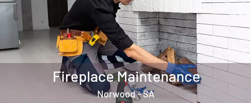  Fireplace Maintenance Norwood - SA
