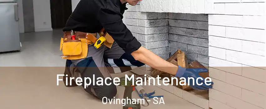 Fireplace Maintenance Ovingham - SA