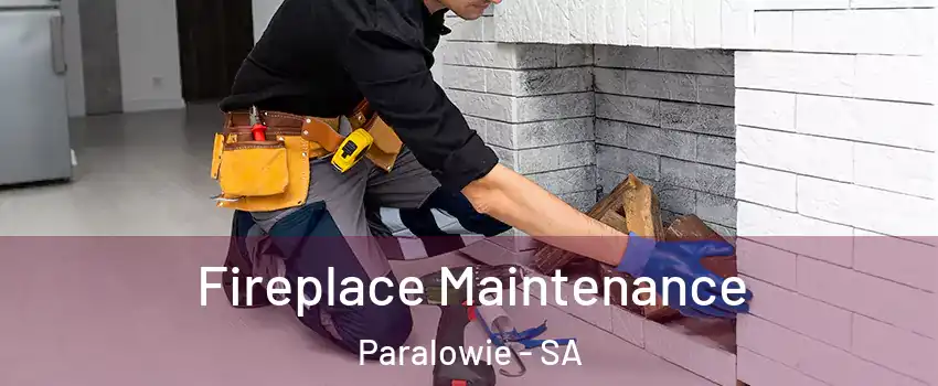  Fireplace Maintenance Paralowie - SA