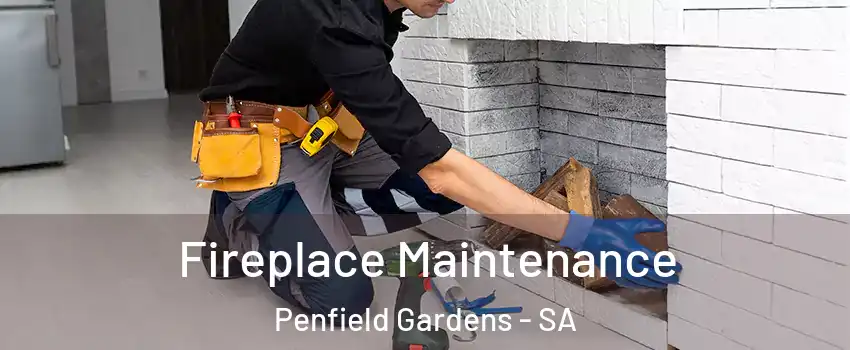  Fireplace Maintenance Penfield Gardens - SA