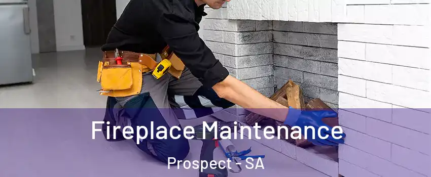  Fireplace Maintenance Prospect - SA
