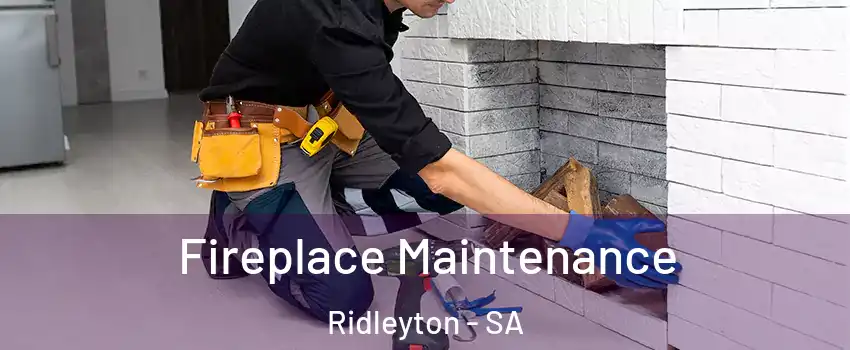  Fireplace Maintenance Ridleyton - SA