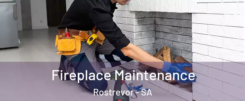  Fireplace Maintenance Rostrevor - SA