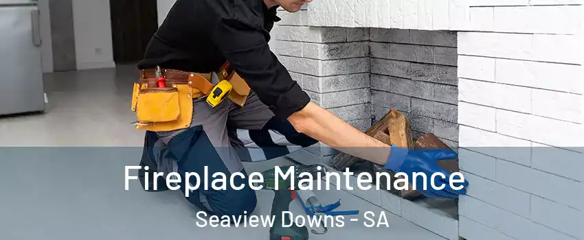  Fireplace Maintenance Seaview Downs - SA