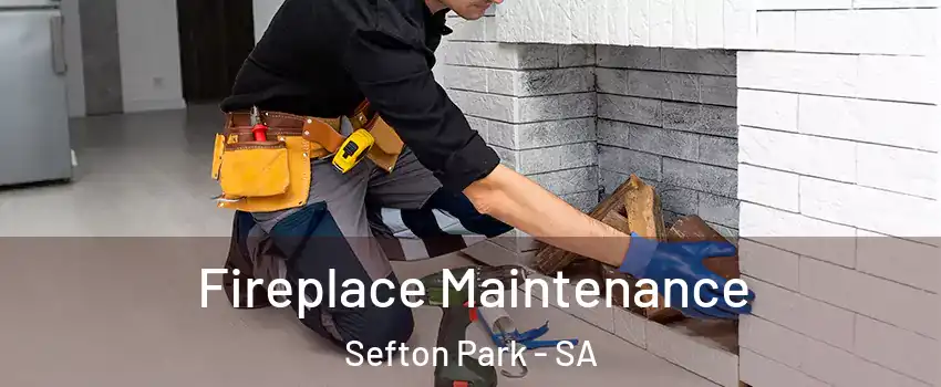  Fireplace Maintenance Sefton Park - SA