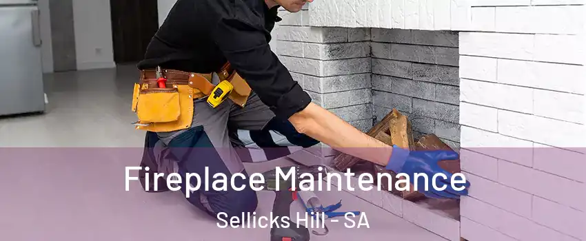  Fireplace Maintenance Sellicks Hill - SA
