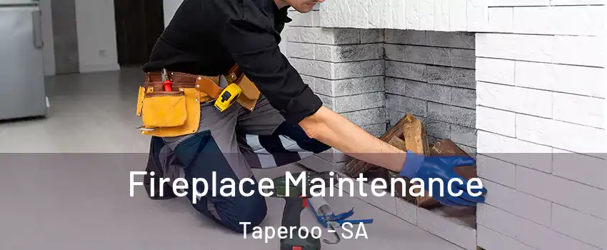  Fireplace Maintenance Taperoo - SA