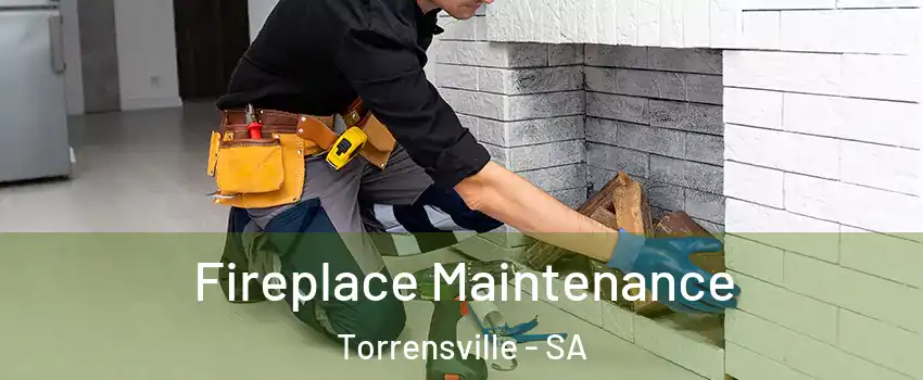  Fireplace Maintenance Torrensville - SA