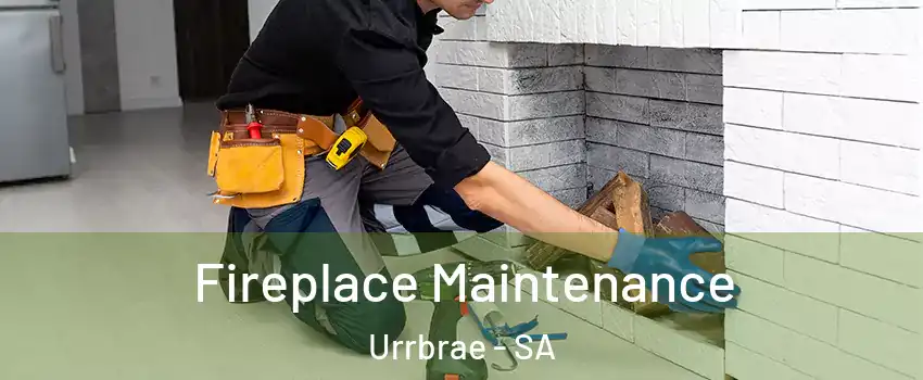  Fireplace Maintenance Urrbrae - SA