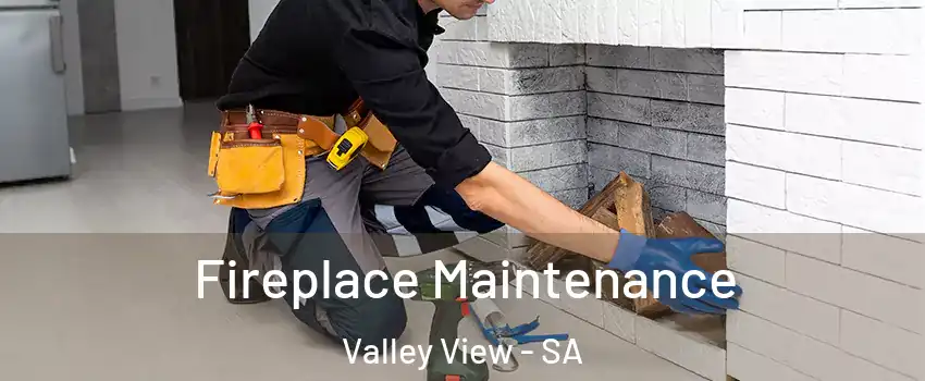  Fireplace Maintenance Valley View - SA
