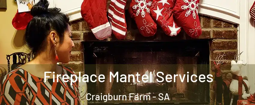  Fireplace Mantel Services Craigburn Farm - SA