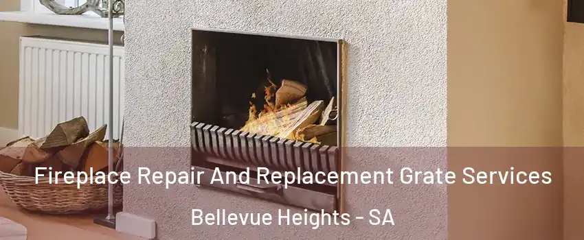 Fireplace Repair And Replacement Grate Services Bellevue Heights - SA