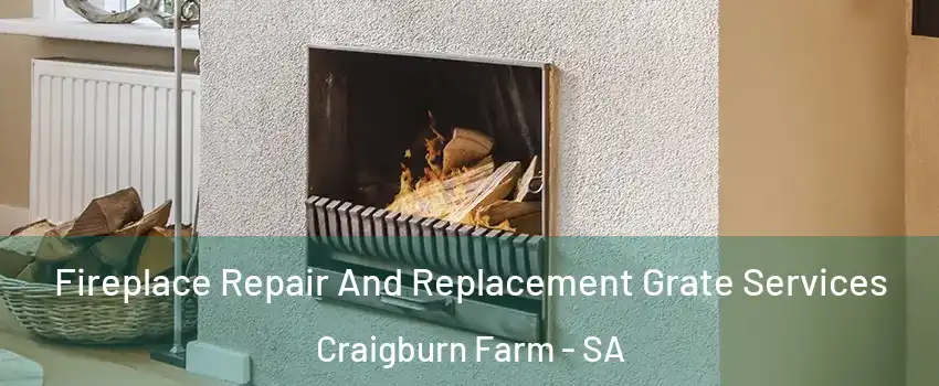 Fireplace Repair And Replacement Grate Services Craigburn Farm - SA