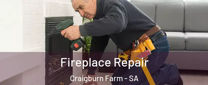 Fireplace Repair Craigburn Farm - SA