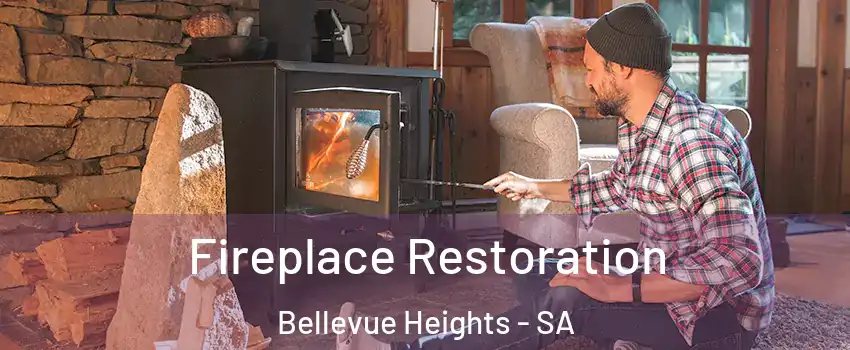Fireplace Restoration Bellevue Heights - SA