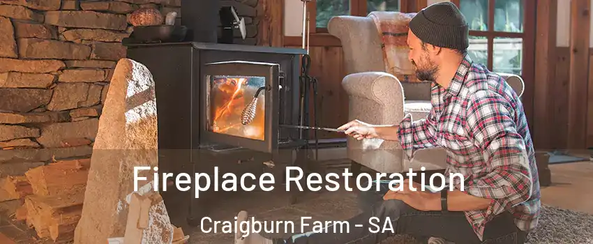 Fireplace Restoration Craigburn Farm - SA