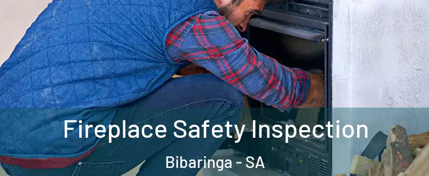 Fireplace Safety Inspection Bibaringa - SA