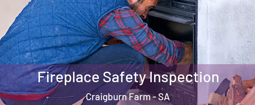Fireplace Safety Inspection Craigburn Farm - SA