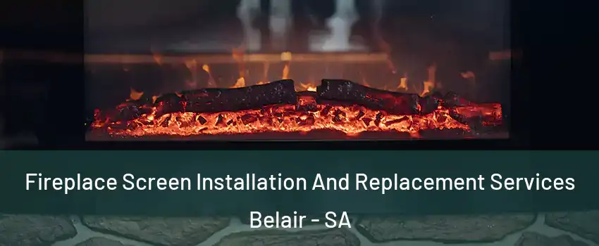  Fireplace Screen Installation And Replacement Services Belair - SA