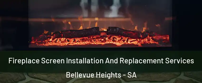 Fireplace Screen Installation And Replacement Services Bellevue Heights - SA