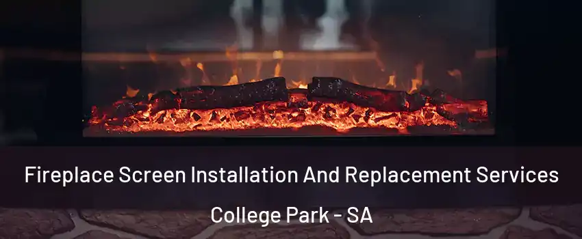 Fireplace Screen Installation And Replacement Services College Park - SA