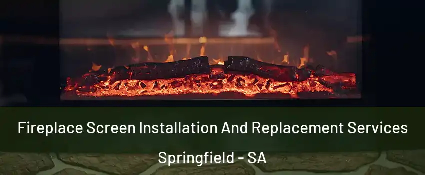  Fireplace Screen Installation And Replacement Services Springfield - SA