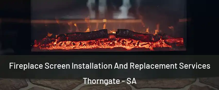 Fireplace Screen Installation And Replacement Services Thorngate - SA