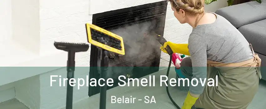 Fireplace Smell Removal Belair - SA