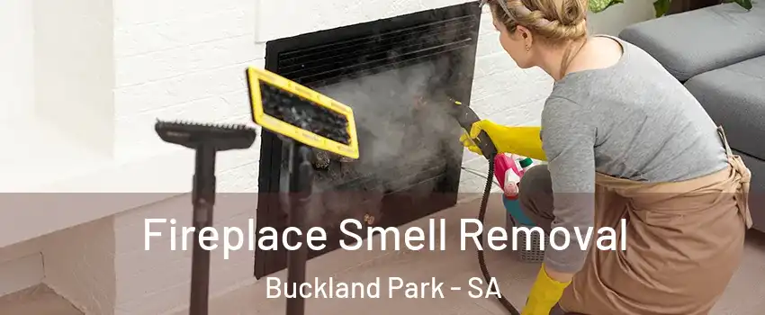 Fireplace Smell Removal Buckland Park - SA