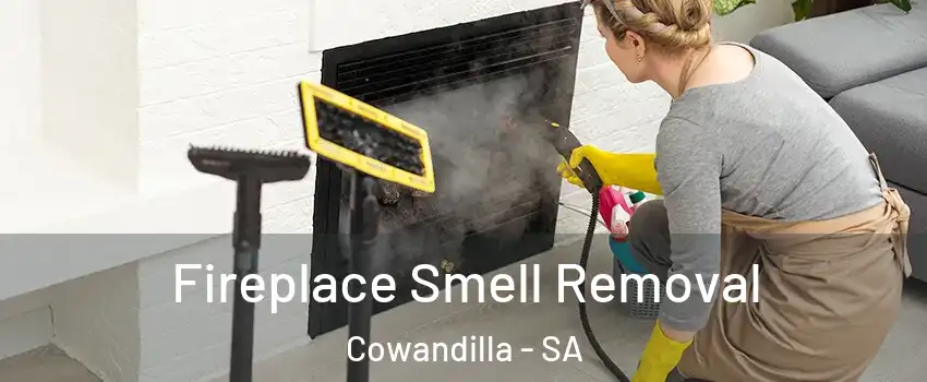 Fireplace Smell Removal Cowandilla - SA