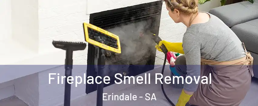 Fireplace Smell Removal Erindale - SA