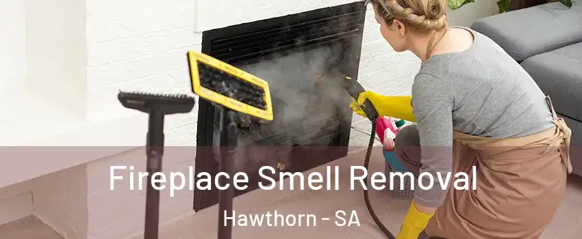 Fireplace Smell Removal Hawthorn - SA