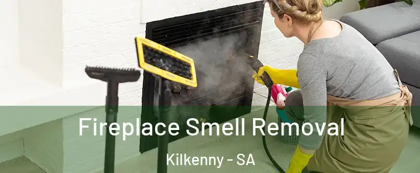  Fireplace Smell Removal Kilkenny - SA