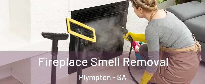  Fireplace Smell Removal Plympton - SA