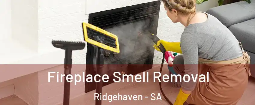  Fireplace Smell Removal Ridgehaven - SA